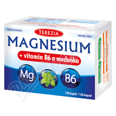 TEREZIA Magnesium+vitamin B6 a meduňka cps.120